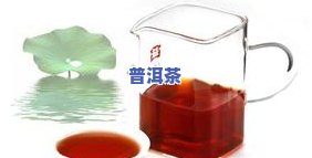 荷叶茶普洱茶减肥效果：功效、原理及适用人群全解析