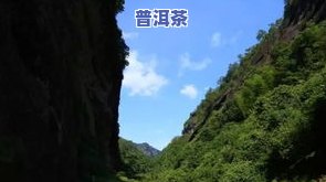 茶叶三坑两涧指的是-茶叶三坑两涧指的是什么