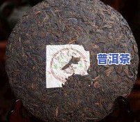 张文宏：普洱茶是假的吗？视频、、图片全解析