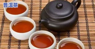 泡普洱茶哪些焖-泡普洱茶哪些焖茶好