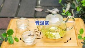 明代饮用茶叶主要是什么茶？