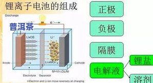 茶叶干燥的作用：原理、过程与重要性