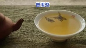 金斗普洱茶-金斗普洱茶价格