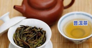 越南普洱茶种类大全：详细介绍与评价