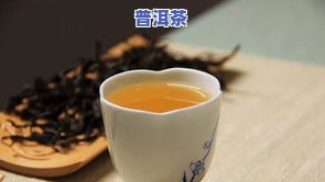 如玉普洱茶-如初普洱茶