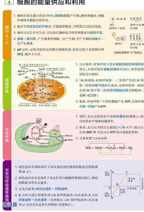 普洱茶知识问答大全：问题、技巧与答案全解析