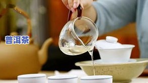 泡功夫茶的步骤视频教程：正规、完整教学