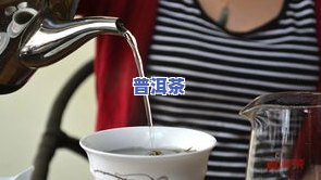 泡功夫茶的步骤视频教程：正规、完整教学