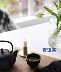 泡功夫茶的步骤视频教程：正规、完整教学