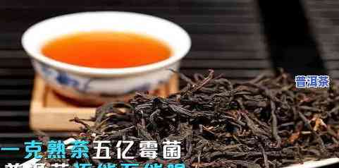 哪个牌子熟普洱茶好喝一点-哪个牌子熟普洱茶好喝一点的