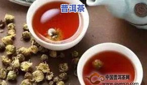 菊普洱茶的功效与作用及冲泡方法、禁忌与养生效果，详解菊普和普洱茶的区别