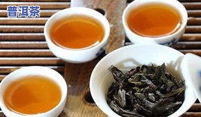 属于安徽产的茶叶是什么茶？探索安徽名茶种类与品种