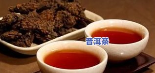 普洱茶都适合存放吗对吗-普洱茶都适合存放吗对吗