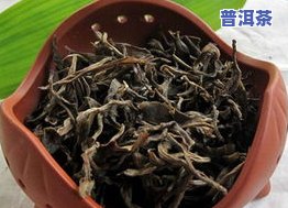 白莲普洱茶功效-白莲普洱茶功效与作用