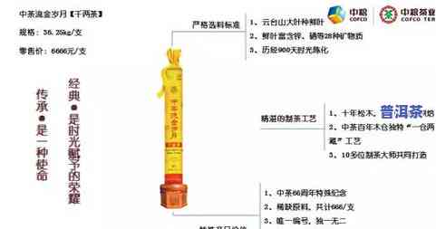 深入解析：黑茶与普洱茶的关系及其差异比较图