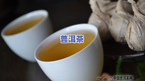 普洱茶的挑选技巧：全面指南与实用方法