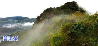 普洱茶风景图：高清大全真实欣赏