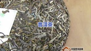 日照人喝普洱茶：好喝吗？探讨其优缺点与绿茶区别