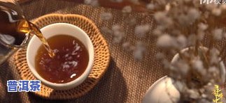 仙踪普洱茶-仙姿普洱茶