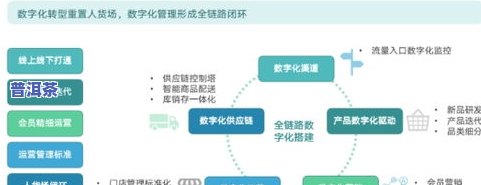 茶叶去哪儿买：寻找正宗、优质、官方渠道的一站式解决方案