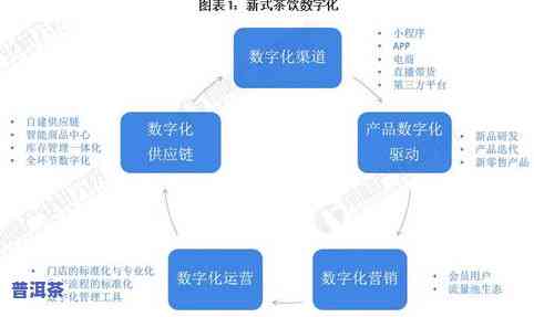 茶叶去哪儿买：寻找正宗、优质、官方渠道的一站式解决方案