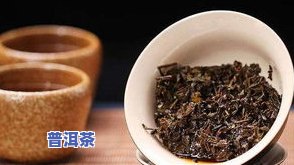 深圳普洱茶十大名茶-深圳普洱茶十大名茶排行榜