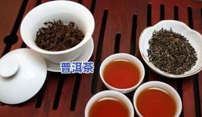 红茶有哪些品种好喝？口感、价格与排名全面解析