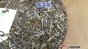 绿茶和普洱茶杀青工艺的区别在哪里？