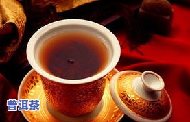 普洱茶酵素的作用：揭示其神奇功效与作用