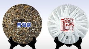 普洱茶怎么挑选？哪种普洱茶更好？详细选购指南