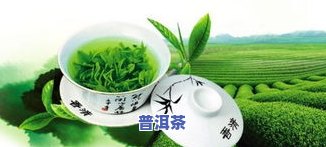 普洱杯和撇口杯区别大吗，普洱杯与撇口杯：它们之间有何显著区别？