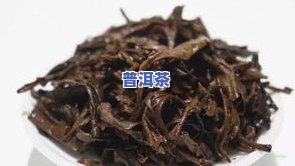 普洱茶前途-普洱茶前景