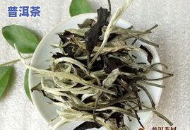 福鼎白茶价格表-福鼎白茶价格表大全