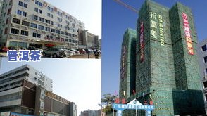 珠海有几个茶叶市场-珠海有几个茶叶市场在哪里