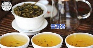 8年陈茶是否算老茶？解析其年龄与口感的关系，告诉你能否安心饮用