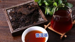 普洱茶存几年比较好喝-普洱茶存几年比较好喝一点