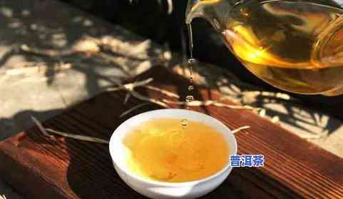 普洱茶大树茶的特点：解析其特别之处与魅力