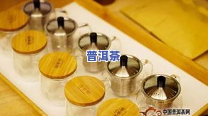 继续播放普洱茶：深入探索普洱茶的魅力与文化