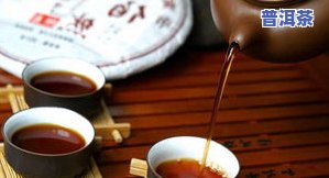 普洱茶哪年有的：历史、品质与茶青比较