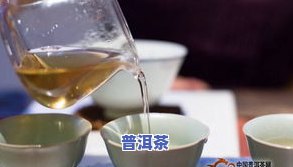 风吹普洱茶-刮风寒普洱茶