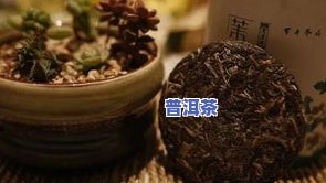 荷兰花香普洱茶口感如何？辨别好坏的方法与图片分享