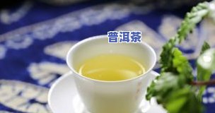 普洱茶老叶好还新叶好啊-普洱茶老叶好还新叶好啊图片