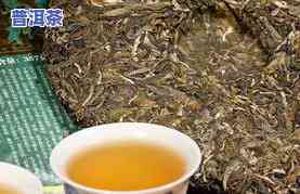 冰岛普洱茶熟茶是绿茶吗？探究其性质与优劣