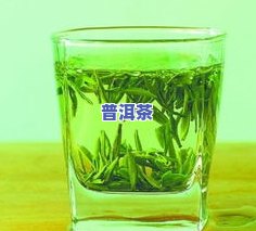 冰岛普洱茶熟茶是绿茶吗-冰岛普洱茶熟茶是绿茶吗还是红茶