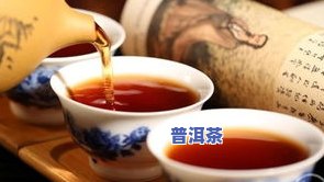 分享极品普洱茶的口感与故事，品味独特的陈香和韵味。