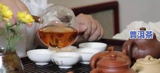 普洱茶用什么壶冲泡更佳？选择适合的壶提升品茗体验！