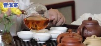 普洱茶用什么壶泡更好喝？详解各类茶壶优缺点与选择技巧