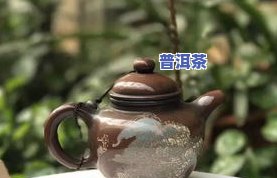 泡普洱茶用啥壶更好喝的-泡普洱茶用啥壶更好喝的呢