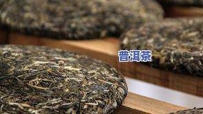 普洱茶老料新压贵不贵-普洱茶老料新压好,还是老料老制好?