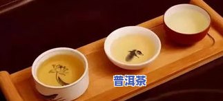 春盼普洱茶：直播间的春茶价格是多少？